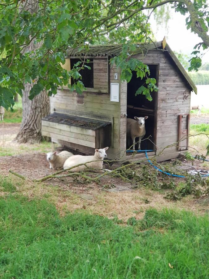 The Cosy Hut Villa Faversham Esterno foto