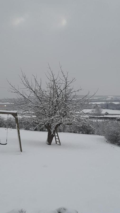 The Cosy Hut Villa Faversham Esterno foto